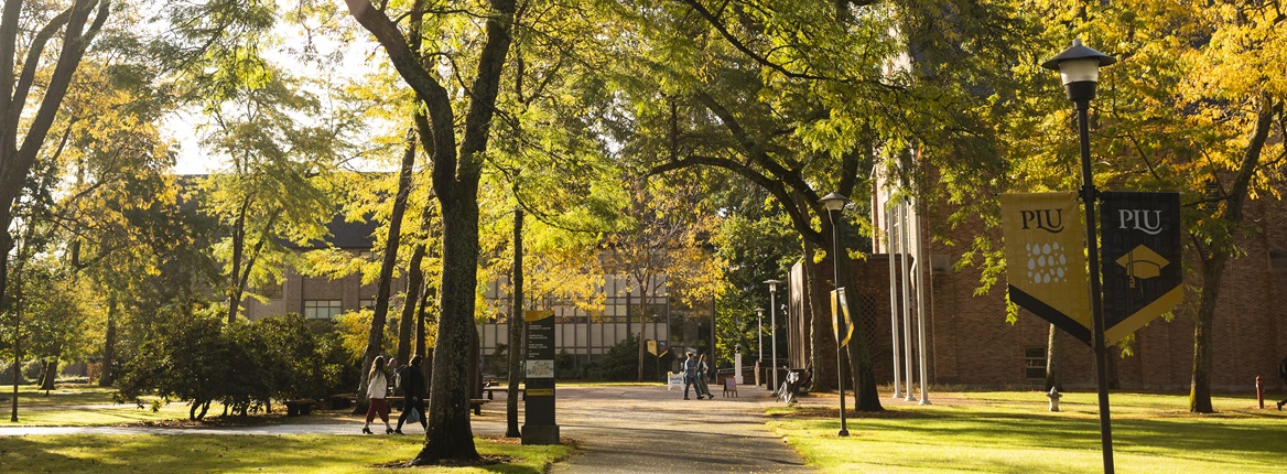 Students walk on PLU's upper campus during a sunny fall day. Throughout campus are black & yellow PLU banners on lightposts.