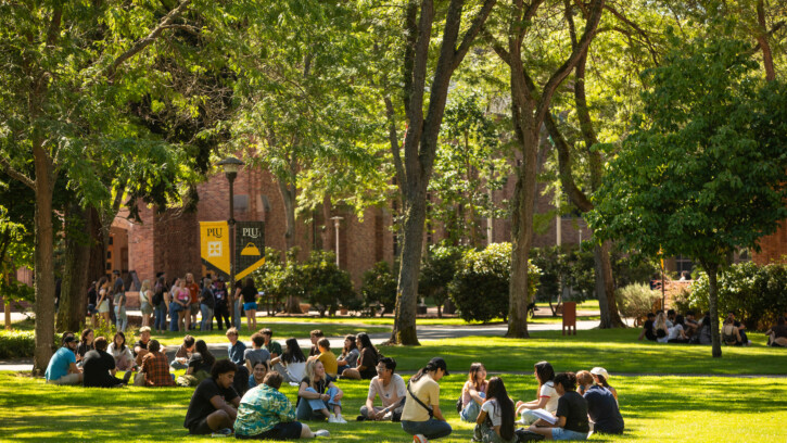 students sit outside in circles amongst the trees