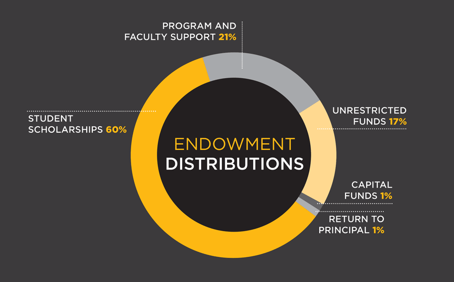 Endowment Distributions Graph