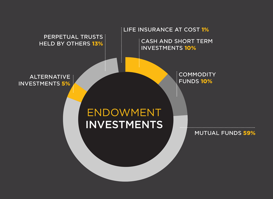 Endowment Investments Graph