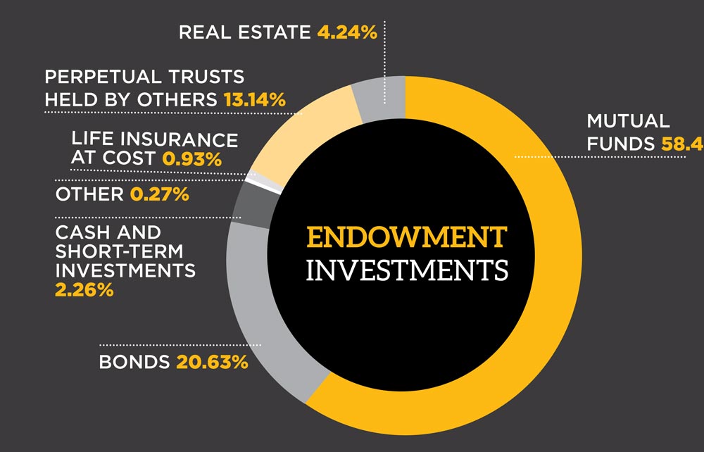 endowment investments