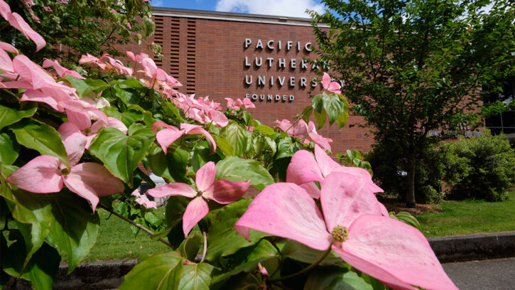 Pink flowers blooming in front of the Hauge Administration building at PLU.