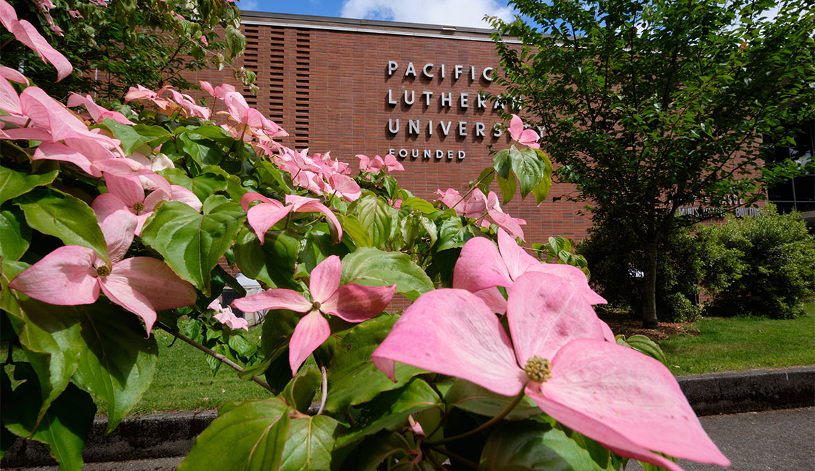 Pink flowers blooming in front of the Hauge Administration building at PLU.