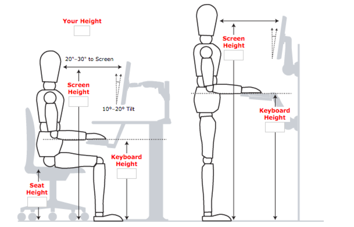 What Height Should A Desk Be For Typing