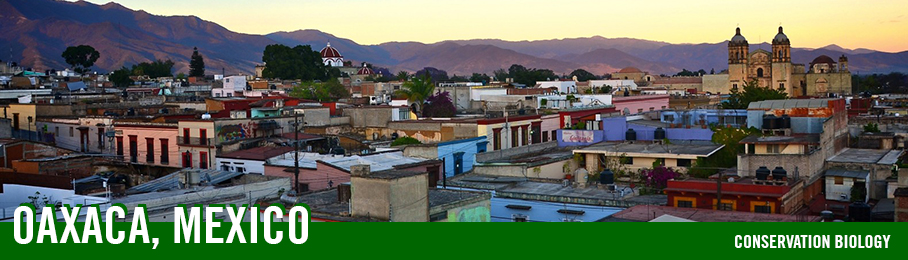 Oaxaca, Mexico – Biology | Study Away | Pacific Lutheran University